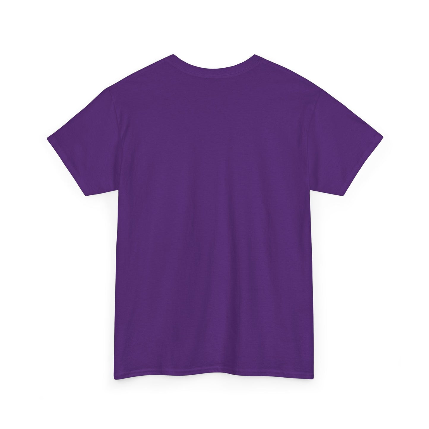 Unisex Healing Heavy Cotton Tee