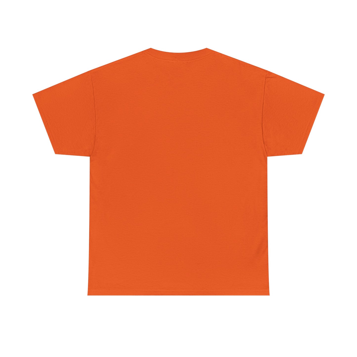 Unisex Healing Heavy Cotton Tee